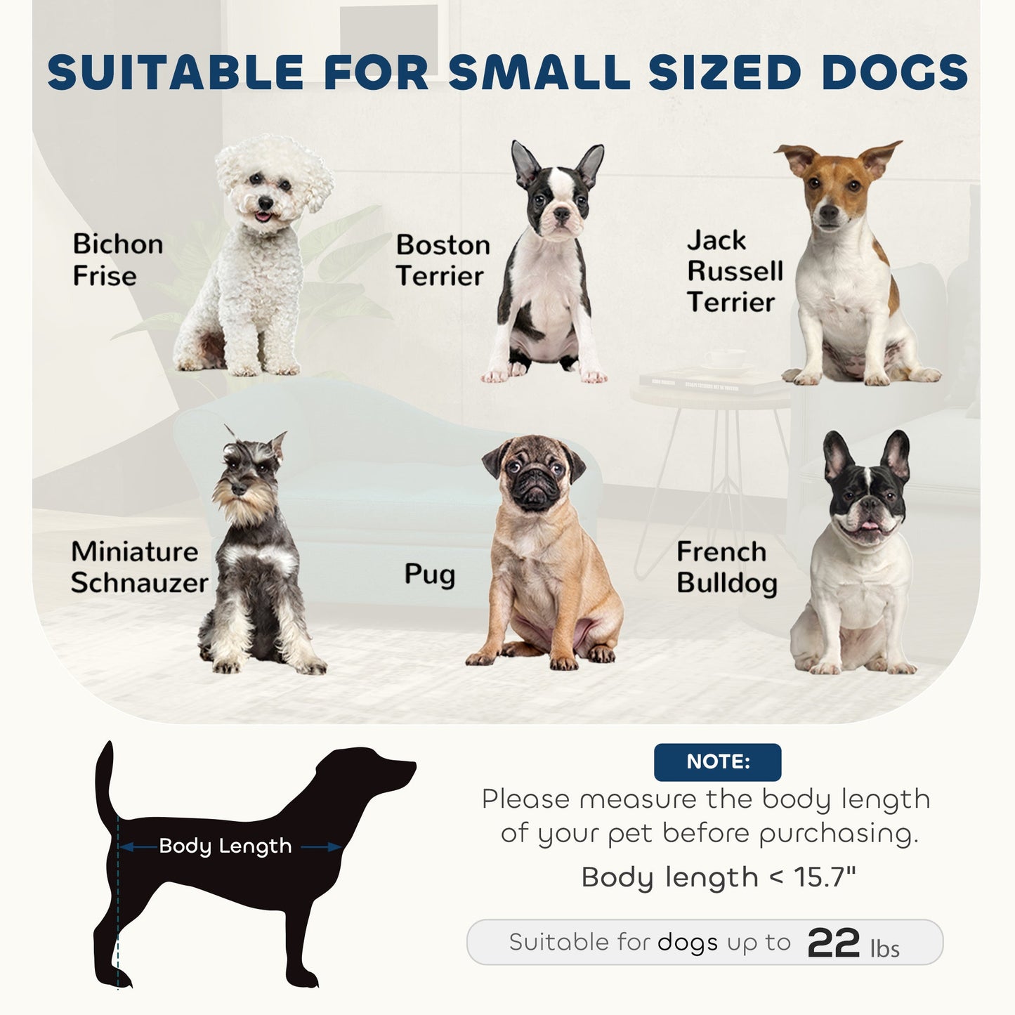 Pet Sofa Bed Couch with Storage