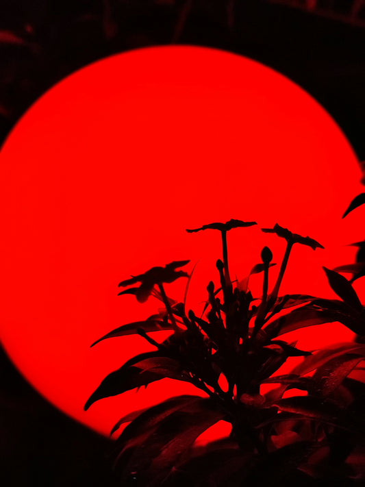 Sunset Projector Lamps 180 Degree Rotation Rainbow Sun Mode Night
