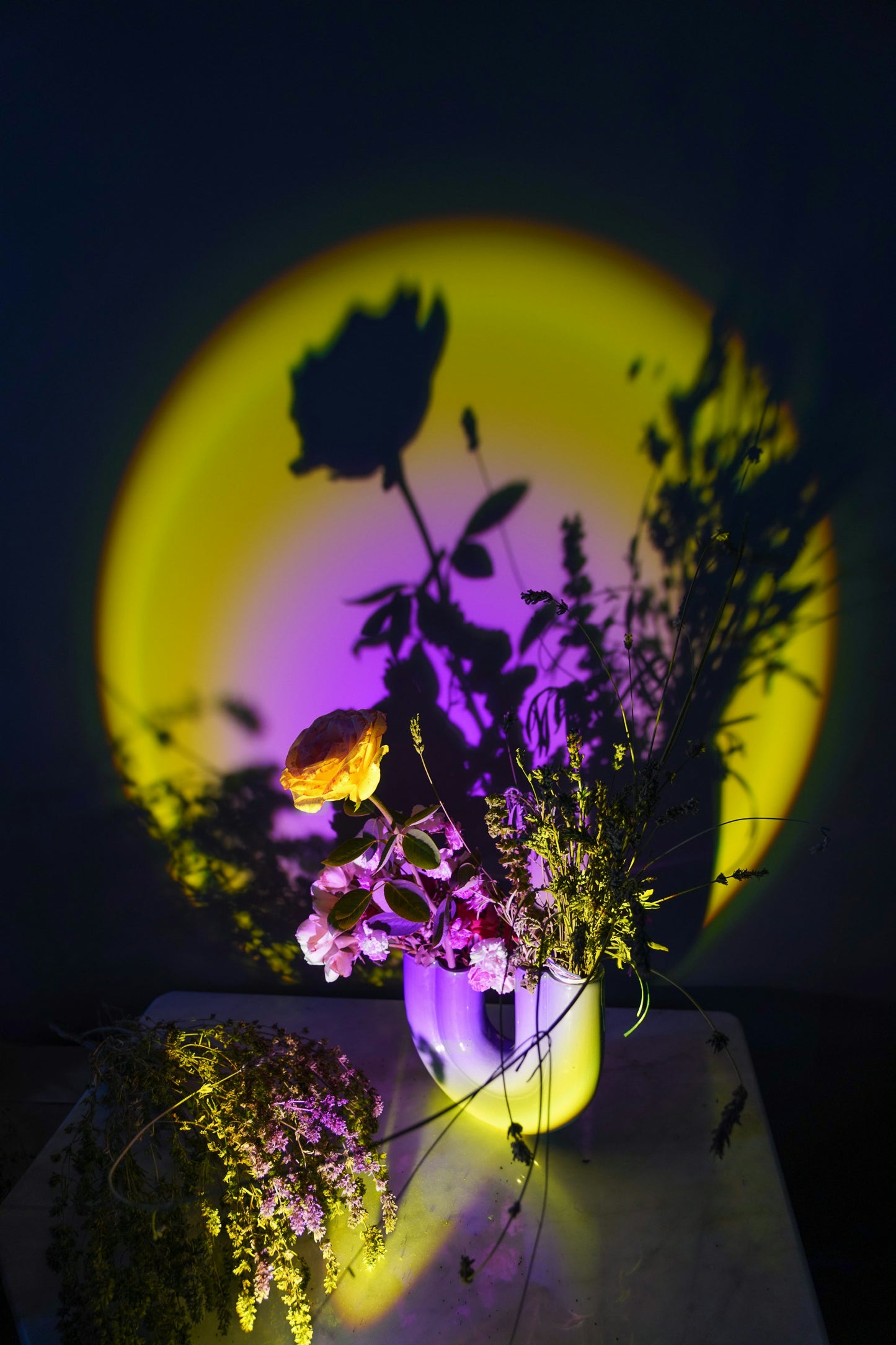 Sunset Projector Lamps 180 Degree Rotation Rainbow Sun Mode Night